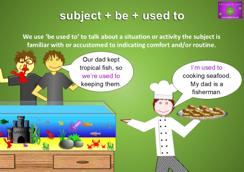 Illustration showing examples of 'be used to' with tropical fish keepers and a chef cooking seafood.