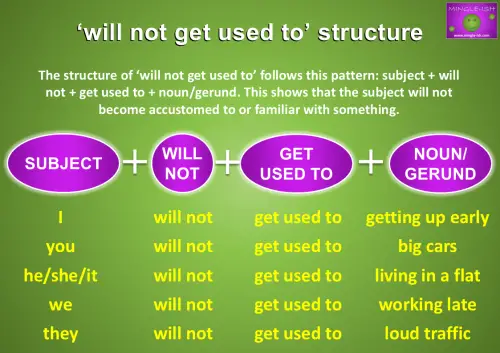 Will not get used to structure - subject + will + not + get used to + noun/gerund, showing examples like 'I will not get used to getting up early,' 'They will not get used to loud traffic,' and 'He will not get used to living in a flat.'