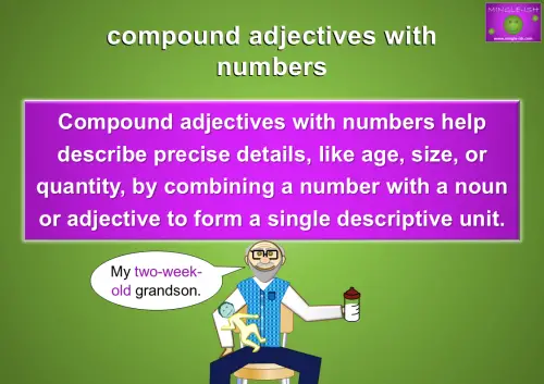 An image titled "compound adjectives with numbers" on a green background. In the centre, a purple box contains text that reads, "Compound adjectives with numbers help describe precise details, like age, size, or quantity, by combining a number with a noun or adjective to form a single descriptive unit." Below the text, a cartoon of an older man holds a baby and a bottle, with a speech bubble saying, "My two-week-old grandson."