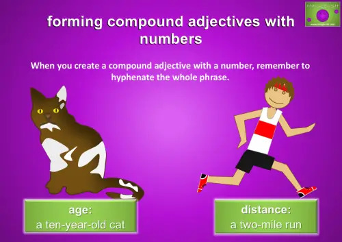 Illustration titled 'forming compound adjectives with numbers.' Text reads: 'When you create a compound adjective with a number, remember to hyphenate the whole phrase.' Below this are two examples. On the left, there's an image of a cat with the label 'age: a ten-year-old cat.' On the right, there's an image of a runner with the label 'distance: a two-mile run.'