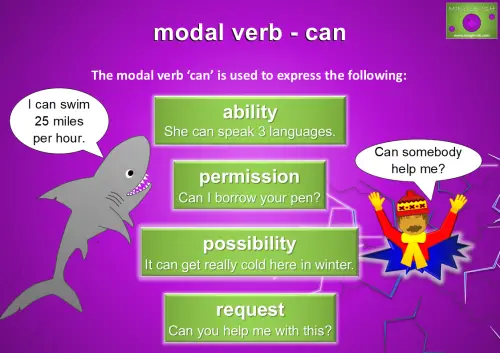 Illustration explaining the modal verb 'can,' featuring examples for ability, permission, possibility, and requests, with visuals including a shark and a cartoon character.