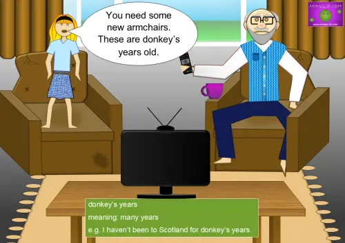 Cartoon of a man in an old armchair and a young woman pointing at it, discussing the idiom "donkey’s years," meaning "many years." Includes an example sentence.