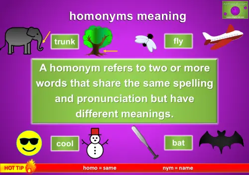 Illustration of homonyms with examples like 'trunk' (elephant vs tree), 'fly' (insect vs airplane), 'cool' (temperature vs style), and 'bat' (animal vs sports equipment). The definition of a homonym is displayed: 'A homonym refers to two or more words that share the same spelling and pronunciation but have different meanings.