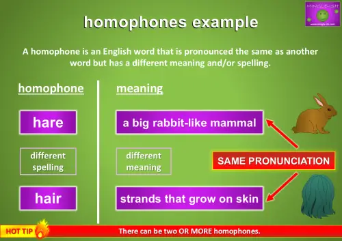 Homophones example showing 'hare' (a type of rabbit) and 'hair' (the strands on your head) with explanations of their meanings and pronunciation similarities.