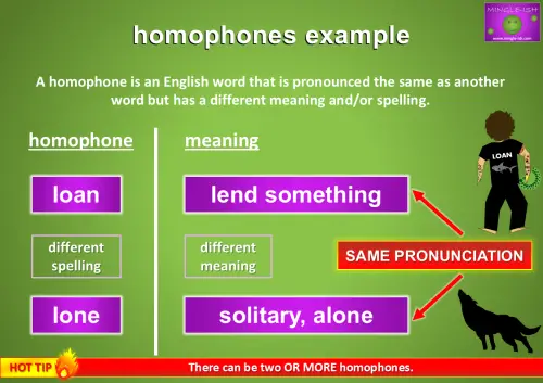 Homophones example showing 'loan' (money borrowed) and 'lone' (meaning solitary) with explanations of their meanings and pronunciation similarities.