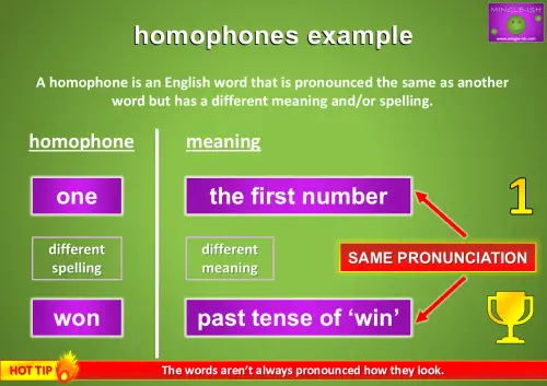 Homophones example showing 'one' (a single item, the first number) and 'won' (past tense of win) with explanations of their meanings and pronunciation similarities.