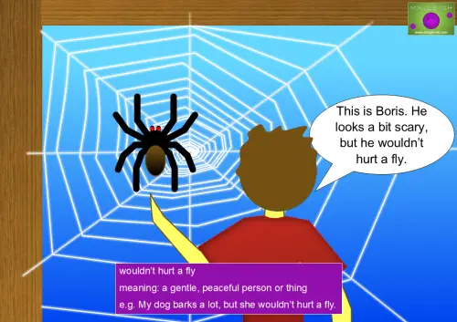 Cartoon illustration of a man pointing at a large spider and saying, "This is Boris. He looks a bit scary, but he wouldn’t hurt a fly." The spider is oversized, making the statement ironic. Below, a box explains the idiom "wouldn’t hurt a fly" with its meaning and example sentence.