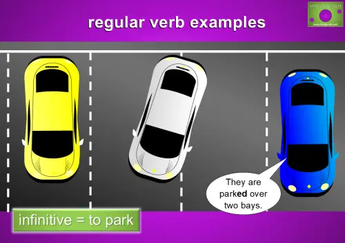 regular verb examples - to park