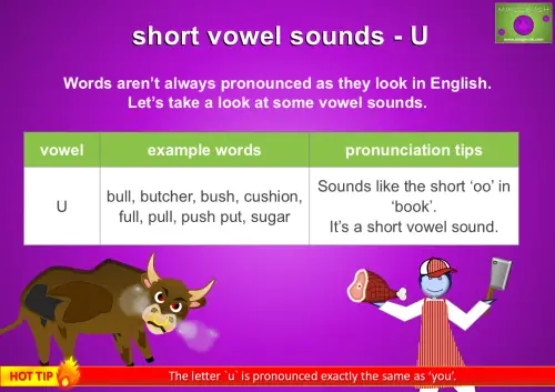 Short vowel sound 'U' chart with example words and pronunciation tips, explaining the 'oo' sound as in 'book' for English learners.