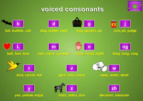 Chart showing voiced consonants in English with example words and icons, including letters like b, d, g, j, l, m, n, ng, r, v, w, y, z, and zh.