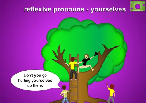 reflexive pronoun examples - ourselves. Don’t you go hurting yourselves up there.