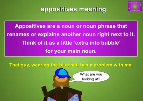 appositives meaning and example