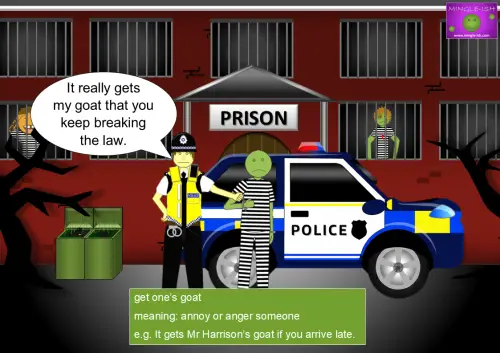 Get one's goat meaning and examples