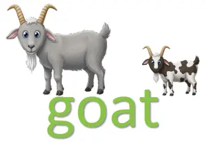 goat idioms goat idioms