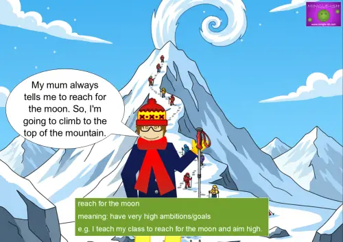 reach for the moon meaning and examples