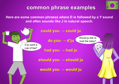 Mingle-ish pronunciation guide infographic showing "D" + "Y" connected speech examples like "would ju" and "could ju" with helpful cartoon examples.