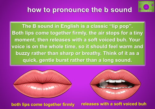 Diagram showing how to pronounce the B sound in English with both lips pressed together and releasing into a voiced “buh”.