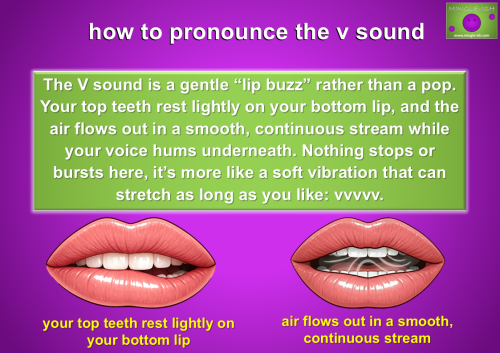 Diagram showing how to pronounce the V sound in English with top teeth on the bottom lip and continuous voiced airflow.