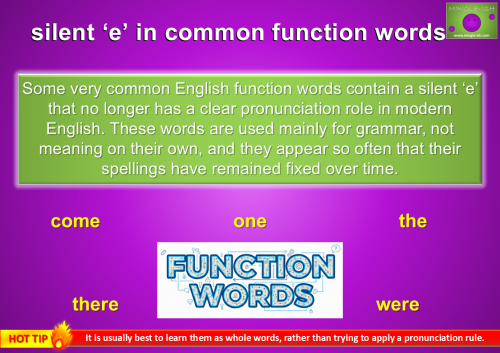 Educational infographic about the use of silent 'e' in common English function words, featuring a "Function Words" logo and examples like come, one, and the.