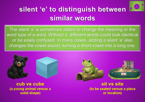 Phonics guide showing how adding a silent ‘e’ changes the meaning, word type, and vowel sound of a word to avoid confusion.