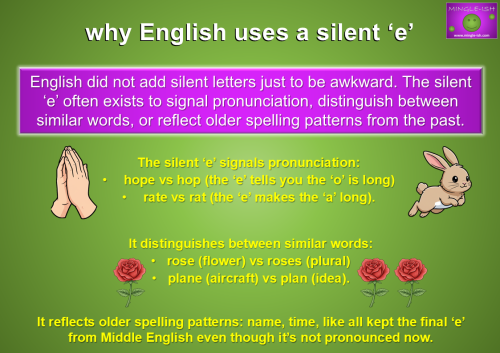 Infographic explaining why English uses a silent e, with examples such as hope vs hop, rate vs rat, rose vs roses, and plane vs plan.