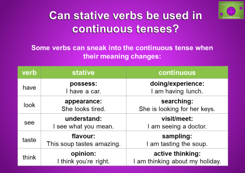A grammatical reference table titled "Can stative verbs be used in continuous tenses?" comparing the stative and continuous uses of the verbs have, look, see, taste, and think with illustrative examples.