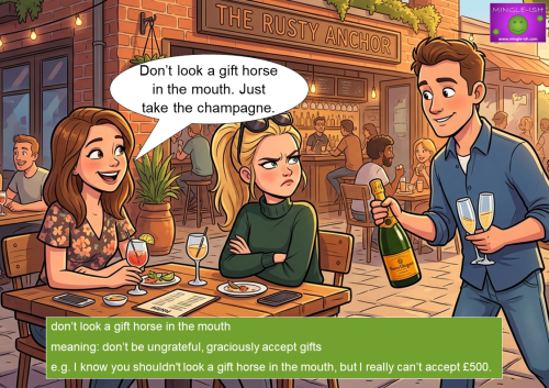 Don’t look a gift horse in the mouth idiom example accepting champagne British English meaning