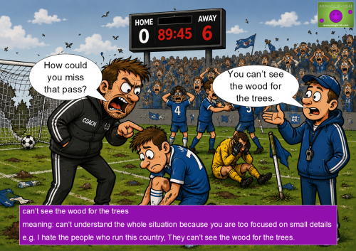 Cartoon football scene showing the idiom “can’t see the wood for the trees” with a coach focusing on one missed pass while the team loses 6-0.