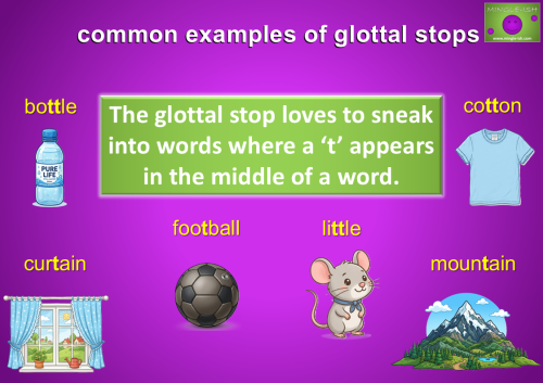 Common examples of glottal stops in English pronunciation showing the words bottle, cotton, curtain, football, little and mountain with matching illustrations. Educational ESL and EFL pronunciation graphic explaining how the glottal stop often replaces the letter T in the middle of words.