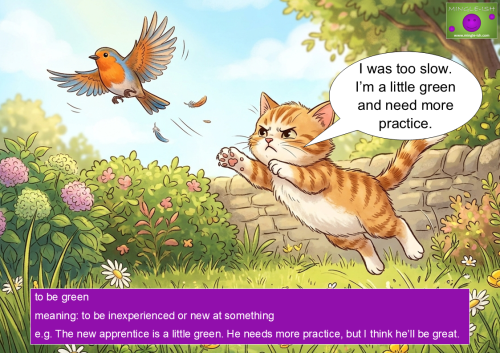 Cartoon illustration of an inexperienced kitten missing a bird jump, illustrating the English idiom 'to be green' meaning new or inexperienced.