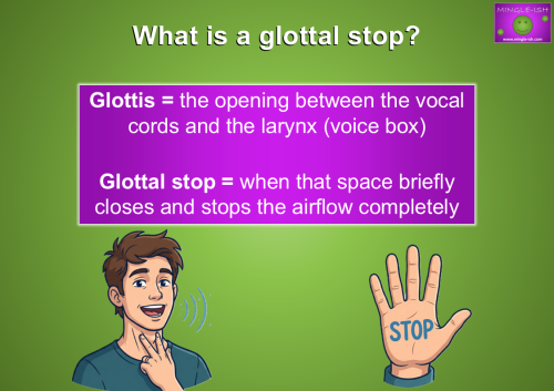 Glottal stop phonetics infographic showing the definition of the glottis and explaining how a glottal stop briefly stops airflow during speech.