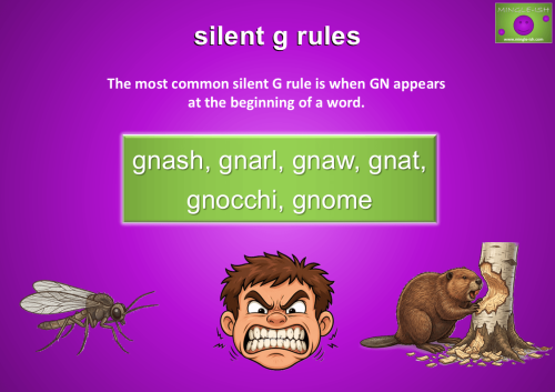 Infographic showing the silent G rule where GN at the beginning of a word has a silent G, with the examples gnash, gnarl, gnaw, gnat, gnocchi, and gnome, plus illustrations of a gnat, gnashing teeth, and a beaver gnawing a tree.