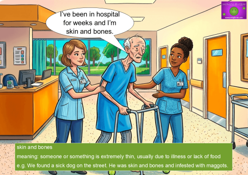 Cartoon illustration in skin and bones.jpg of a very thin elderly man being helped in a hospital, illustrating the idiom 'skin and bones'. A text box at the bottom gives the definition.