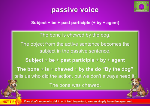Passive voice example showing “The bone is chewed by the dog”