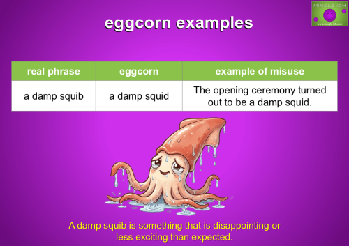 Damp squib meaning and eggcorns damp squid example