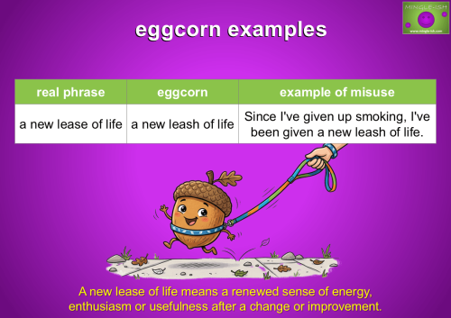 A new lease of life and new leash of life eggcorn example with acorns
