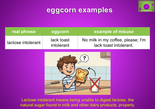 Lactose intolerant and lack toast intolerant eggcorns example