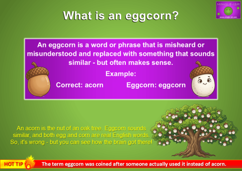 What is an eggcorn? Acorn and eggcorn example explained