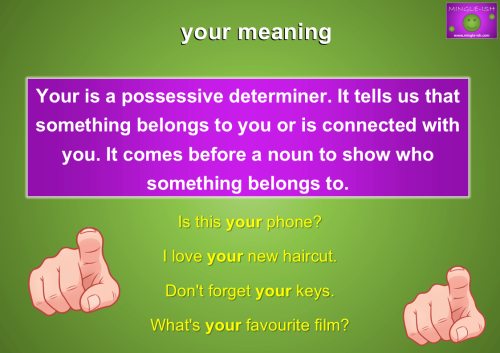 Infographic explaining the meaning and grammar rules of the possessive determiner 'your' with example sentences.