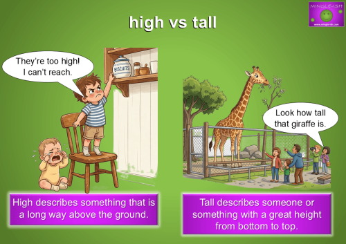 High vs tall: confusing adjectives illustrated by a boy reaching for biscuits on a high shelf and a tall giraffe in an enclosure.