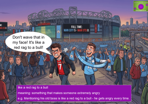 Football fan angrily reacting to a rival team's scarf, illustrating the red rag to a bull idiom